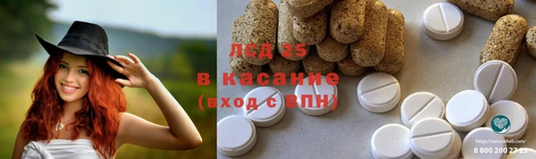 твердый Алексин