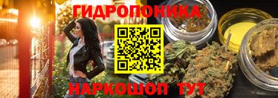 прущий лед Владимир