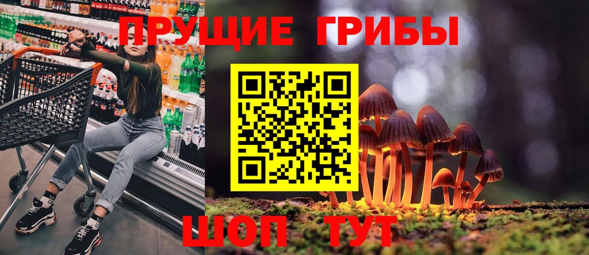Галлюциногенные грибы MAGIC MUSHROOMS  Вход с VPN  Владимир 