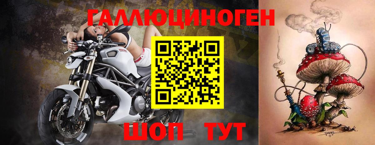 Галлюциногенные грибы мицелий Владимир